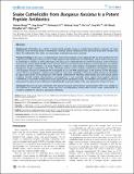 Snake Cathelicidin from Bungarus fasciatus Is a Potent Peptide Antibiotics